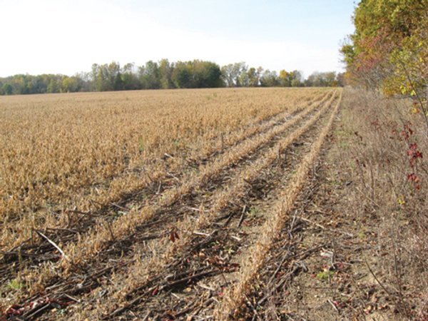212 Acres Offered in 6 Tracts - Selling Regardless of Price
